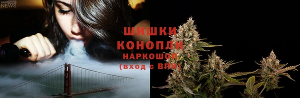 дживик Гусиноозёрск