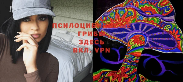 дживик Гусиноозёрск