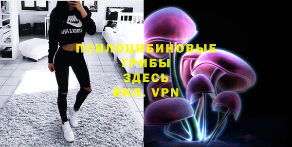 прущая мука Гусь-Хрустальный