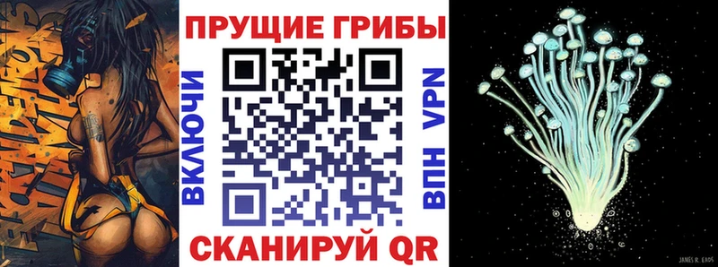 Галлюциногенные грибы MAGIC MUSHROOMS  Петропавловск-Камчатский 